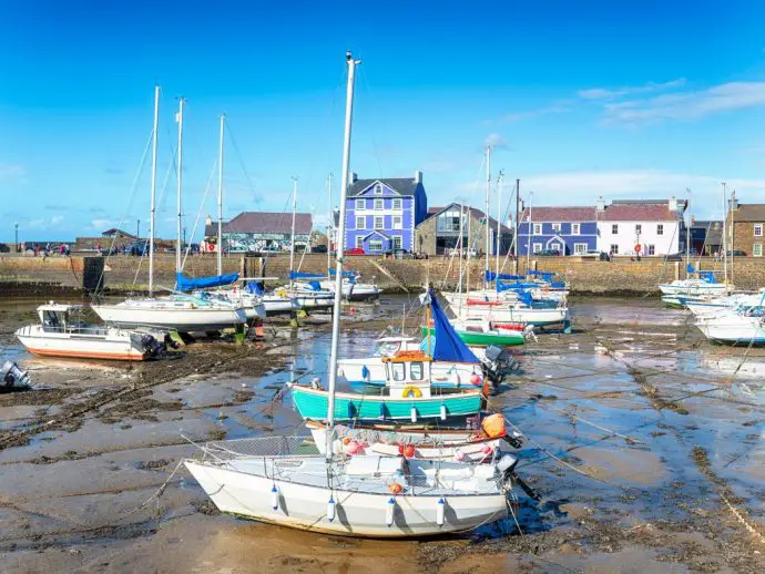 Colourful fishing boats in the foreground, in a harbour where the tide is out, and on the other side of the far harbour wall are colourful painted buildings in blue and white