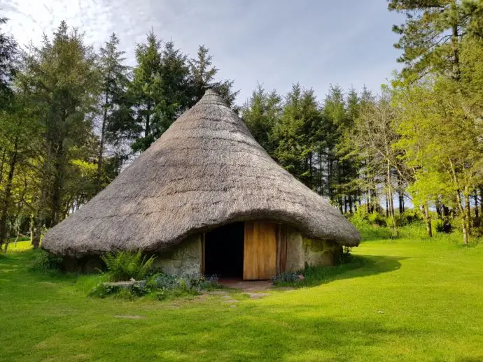 Celtic Roundhouse with thatched roof in a woodland glade