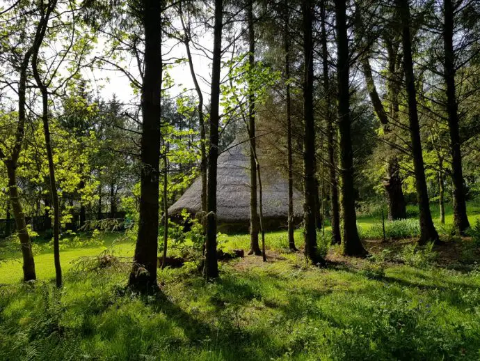 Woodland with a roundhouse in the distance