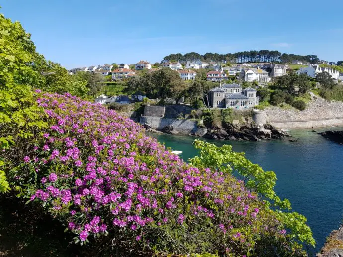 pink flowers in foreground overlooking a bay on the other side of which are some cliffs with houses on top