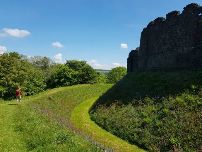 circular castle keep with a deep grassy moat covered in wild flowers