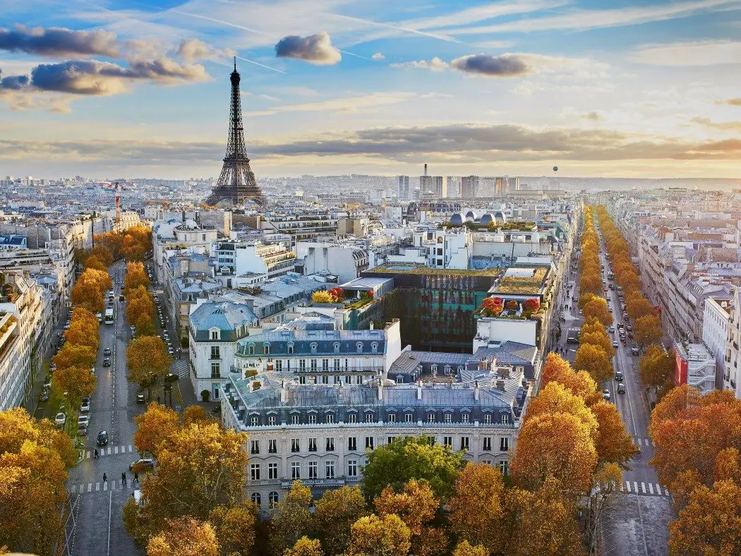 Aerial view of Paris with tree-line avenues and white buildings