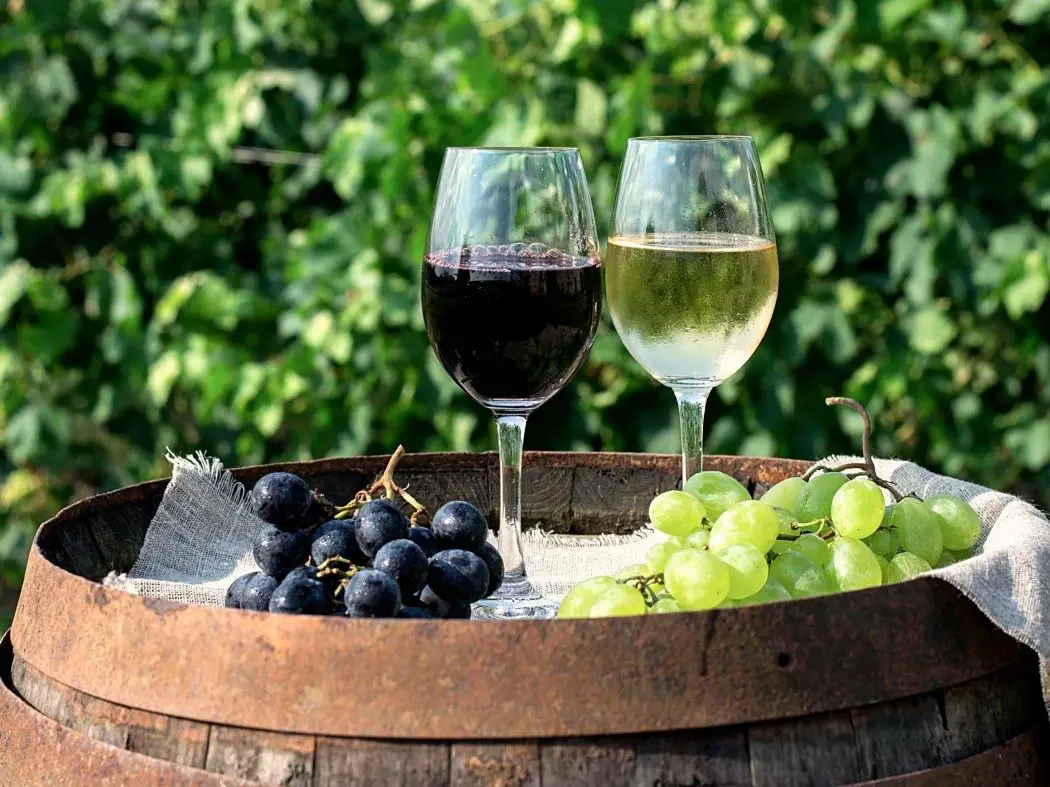 Wine glasses and grapes