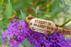 Bracelet with coordinates on perched on a purple flower