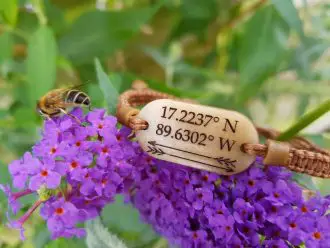 Bracelet with coordinates on perched on a purple flower