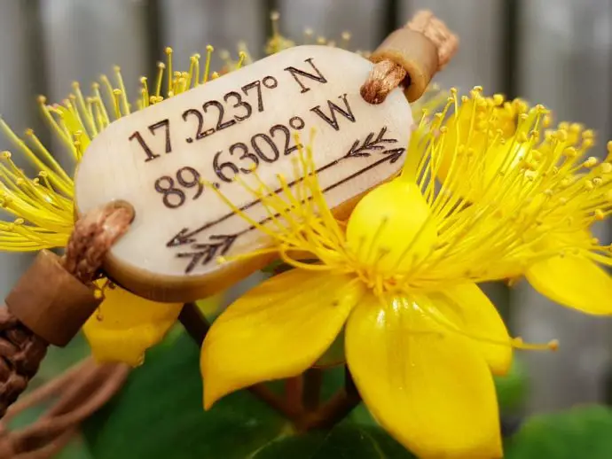 Travel coordinates bracelets on yellow flower