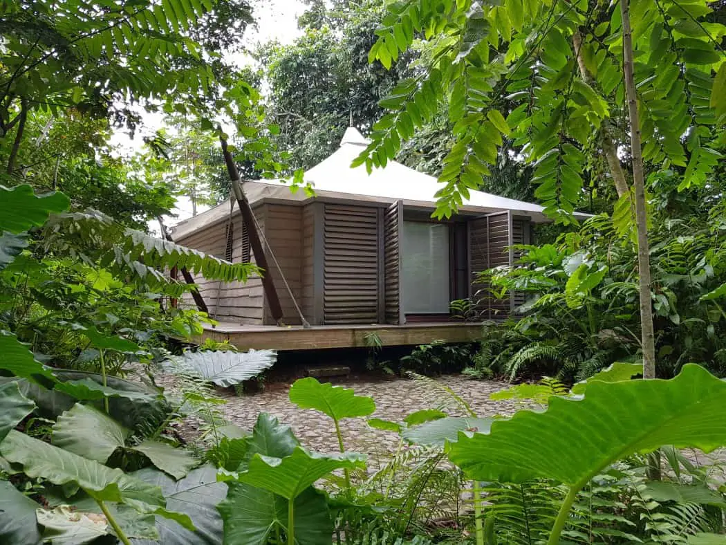 Tented cabin exterior hidden in the woods