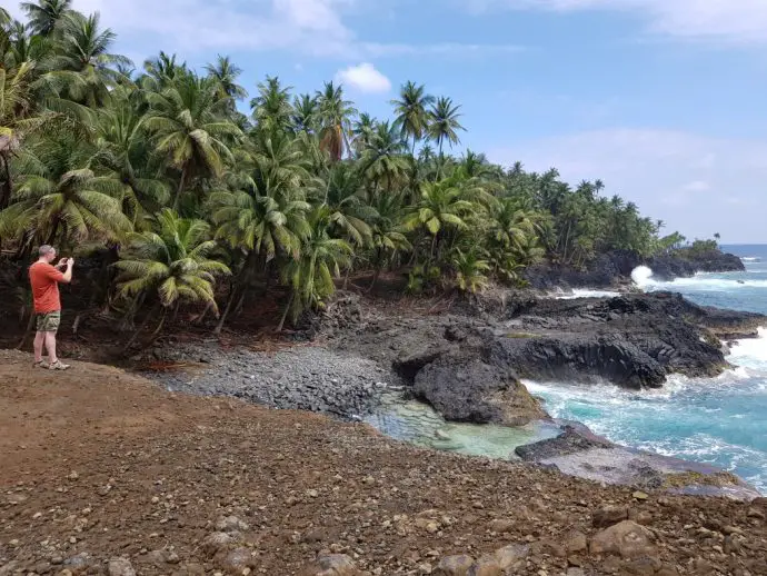 Black volcanic shore with palm trees and blue ocean