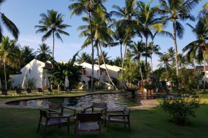 White hotel buildings beside a pool surrounded by palm trees