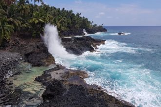 Crashing sea waves against black volcanic rock lined with palm trees