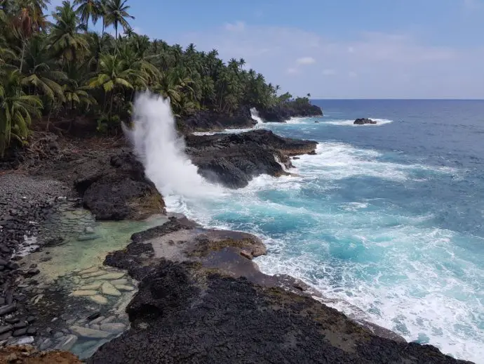 Crashing sea waves against black volcanic rock lined with palm trees - one of the best things to do on Sao Tome and Principe