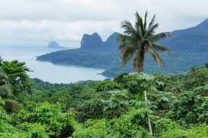 Principe day trip - Palm trees and mountains on a lush island looking out to sea