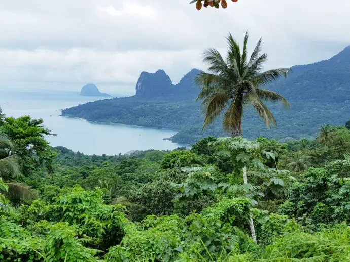 Palm trees and mountains on a lush island looking out to sea