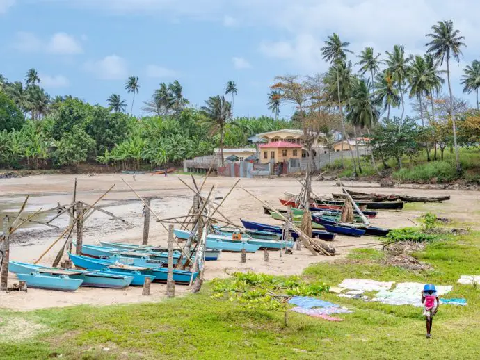 blue fishing boats lined up on a beach in front of a small village surrounded by palm trees