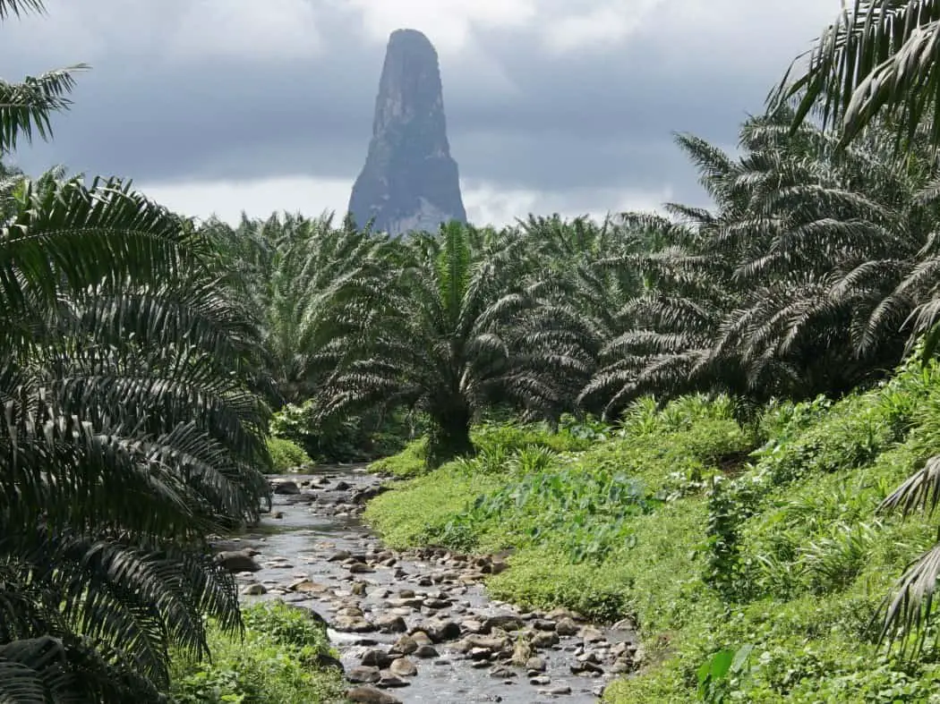 Palm plantation with towering rock spire in the centre - one of the best things to do on Sao Tome