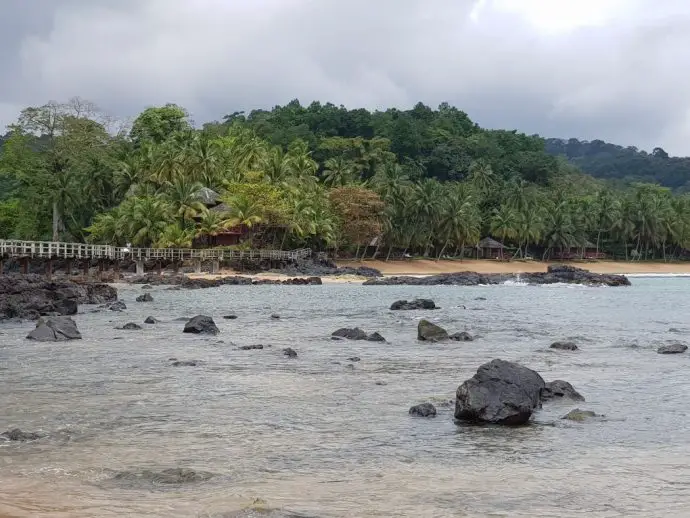 Sea full of rocks looking back to shore where there's a sandy beach lined with palm trees