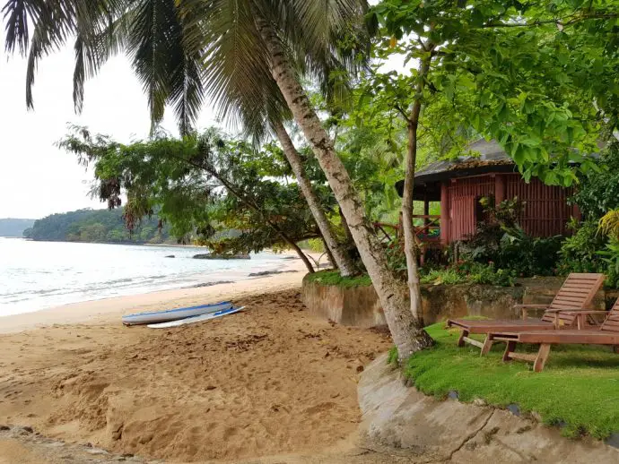 Beach bungalow surrounded by palm trees