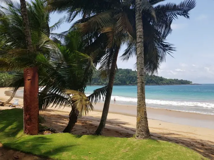 Beach seen through palm trees looking towards the ocean