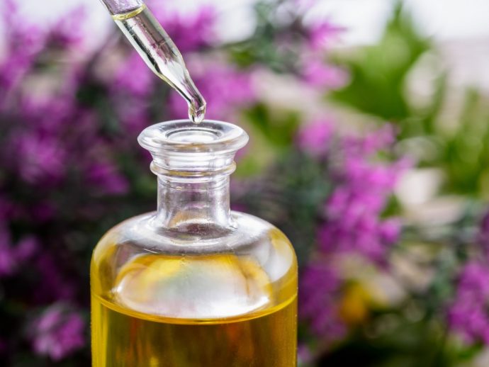 Can You Travel With CBD Oil? Conversant Traveller