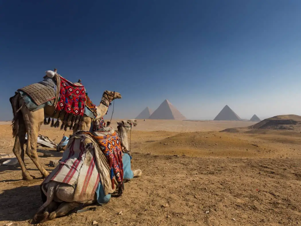5 reasons why you should visit Egypt - Conversant Traveller