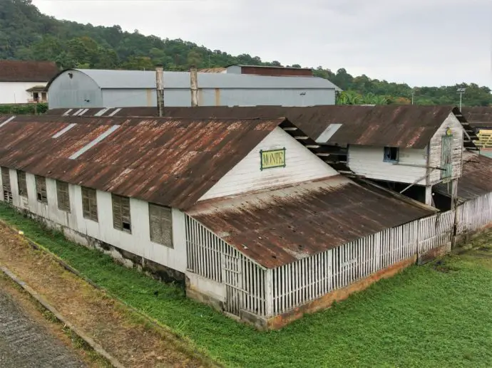 Monte Cafe Plantation on Sao Tome