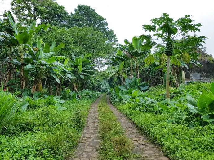 Path leading to Sundy Praia from Sundy Roca - Review of Sundy Praia Luxury Beach Lodge on Principe