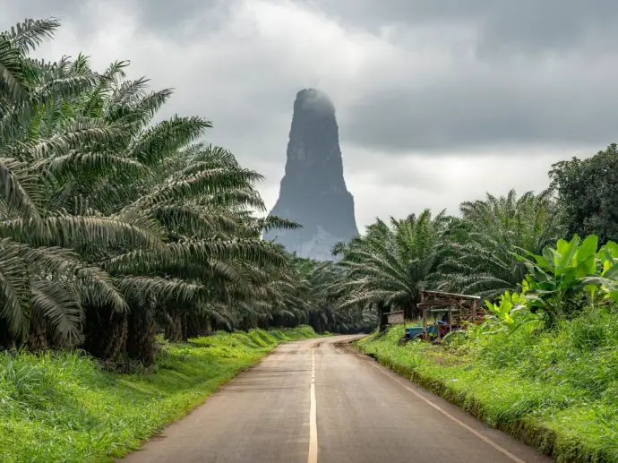 Palm plantation with towering rock spire in the centre - one of the best things to do on Sao Tome