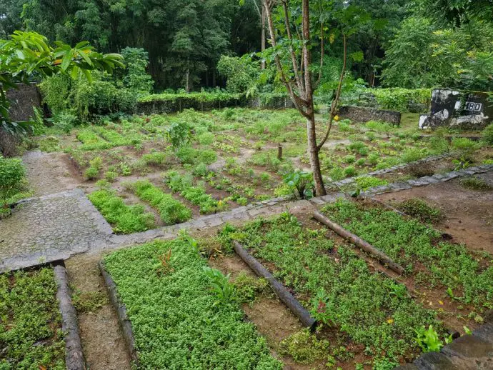 Roca Paciencia organic farm on Principe