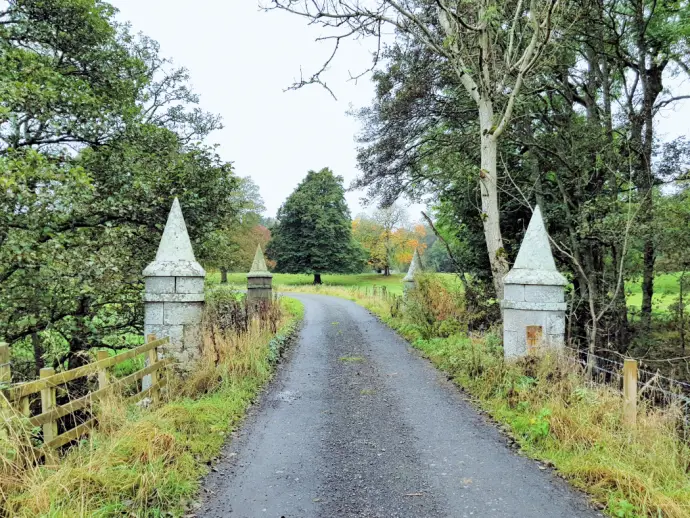 The driveway on the Monzie Estate near Crieff