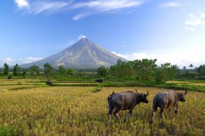 Mt Mayon Volcano in the Philippines