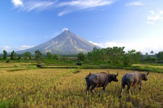 Mt Mayon Volcano in the Philippines