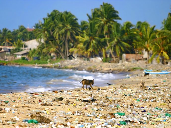 Plastic waste on a beach