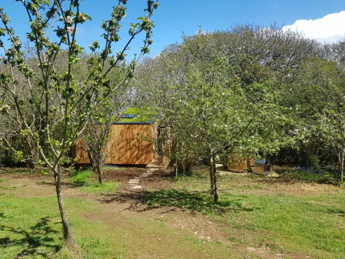 Camoflagued Chui Treehouse at Wrinklers Wood - hot tub holidays in Cornwall