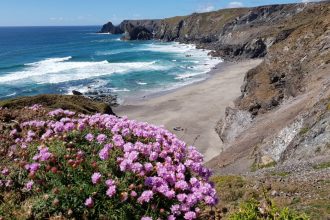 Coast path between Lizard Point and Kynance Cove in Cornwall