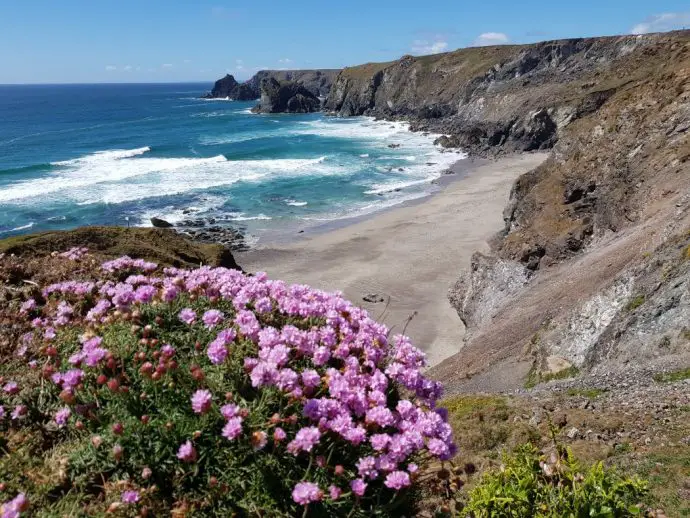 Coast path between Lizard Point and Kynance Cove in Cornwall