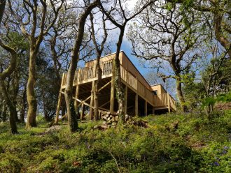 Treehouse on a hillside surrounded by bluebell woods