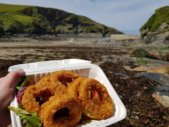 Squid rings at Port Isaac in Cornwall