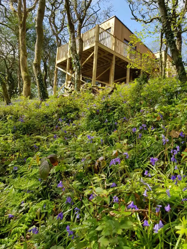 Wrinklers Wood Treehouse - hot tub holidays in Cornwall
