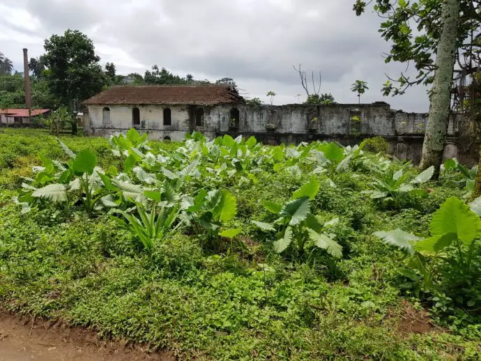 Sao Tome day trip - plantation building in Porto Alegre