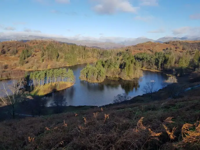 Lake District Autumn leaf colours - Tarn Hows