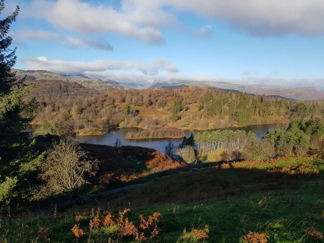 Lake District Autumn colours - Tarn Hows