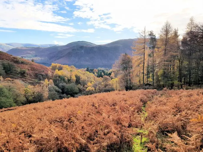 Lake District Autumn - looking down on Ullswater