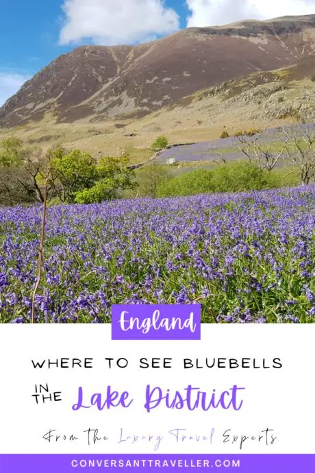 Rannerdale bluebells - where to see bluebells in the Lake District
