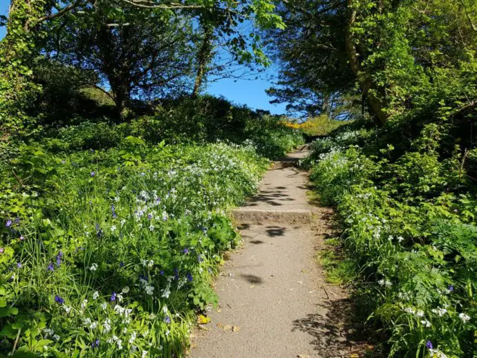 Path at St Anthony Head in Cornwall