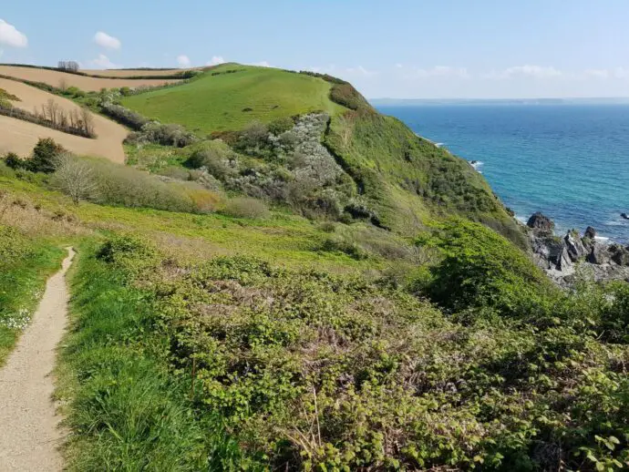 The southwest coast path near Mevagissey