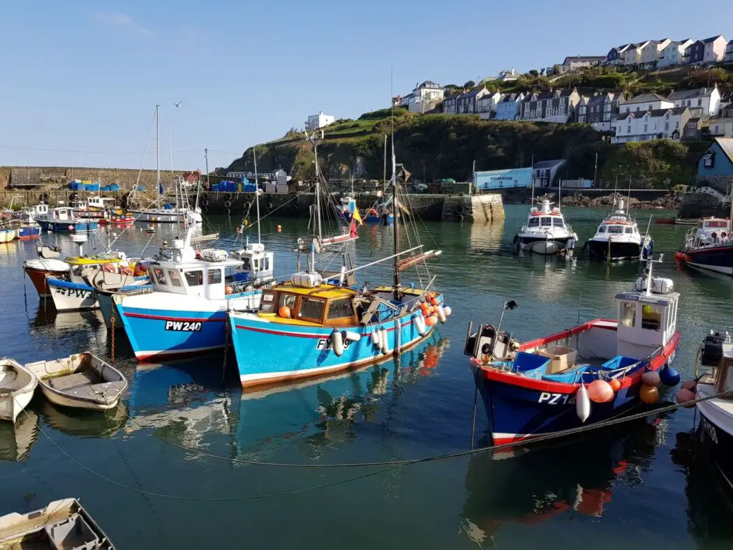 Things to do in Mevagissey - boats in the harbour