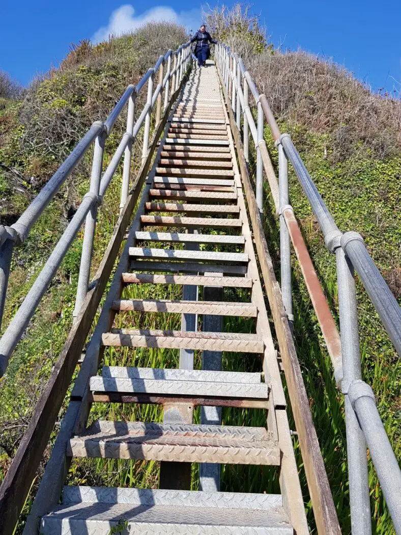 Steep steps leading down to Polstreath Beach in Cornwall