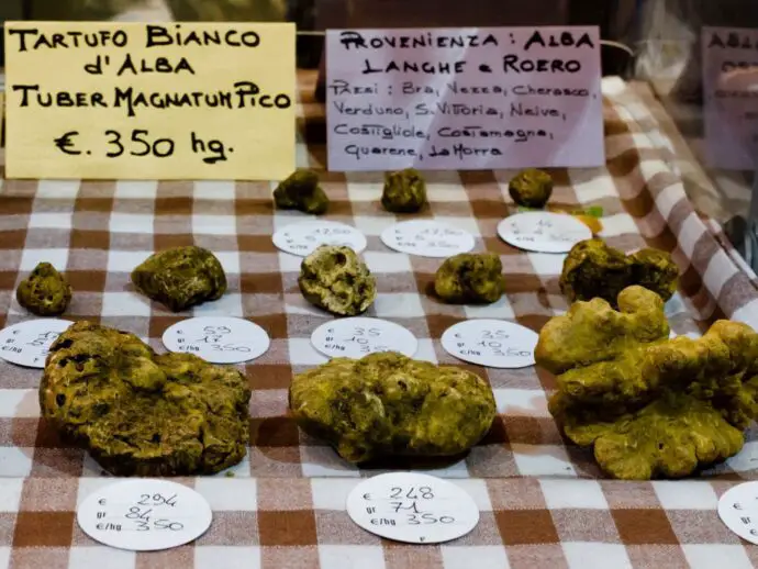 Alba truffles