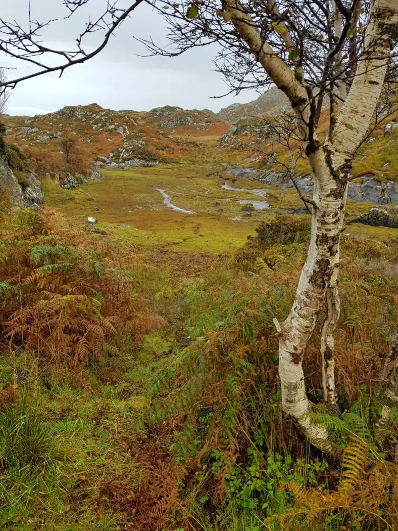 Ardtoe Beach scrambles in Ardnamurchan on the West Highland Peninsulas