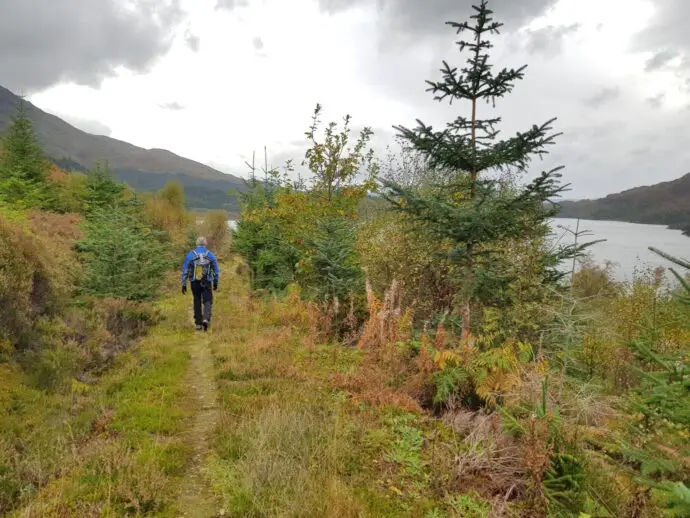 Forest walk from Polloch to Loch Shiel ion the West Highland Peninsulasn Sunart